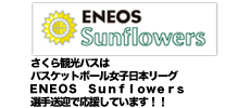 ＥＮＥＯＳ　Ｓｕｎｆｌｏｗｅｒｓ